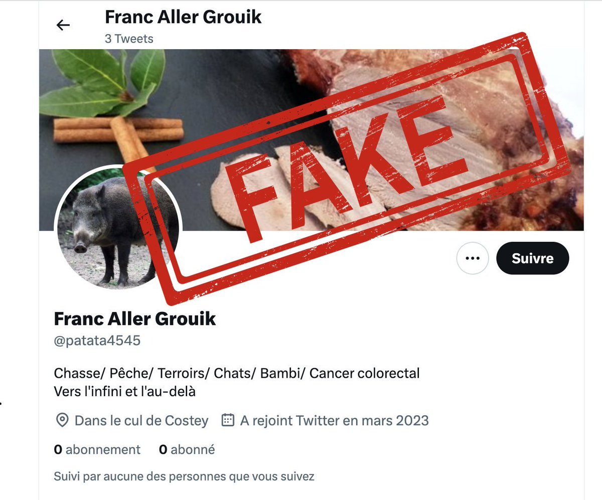 FrancAller_info's tweet image. Poke @elonmusk @TwitterFrance ?
Blablabla… les comptes #twitterBlue… blablabla.
Je suis un compte cochon de payant, j'ai fourni ma carte d'identité à tes services, et... je suis en butte à ça.
Au moins 2 comptes fakes. Signalés.
À un moment, tu sais, ça va pas le faire ? 
🤦‍♂️