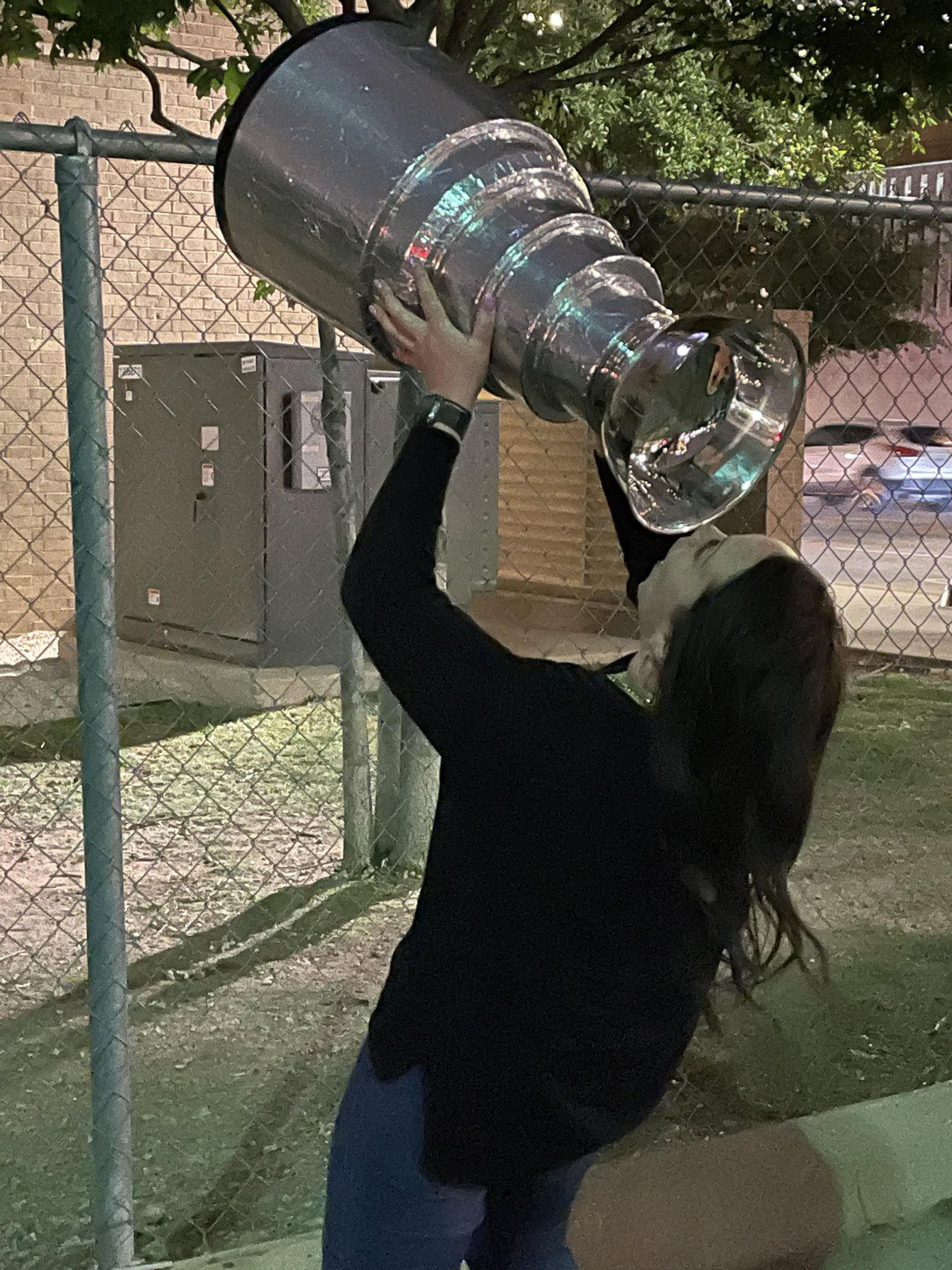 Fake Stanley Cup (@FakeStanley) / X