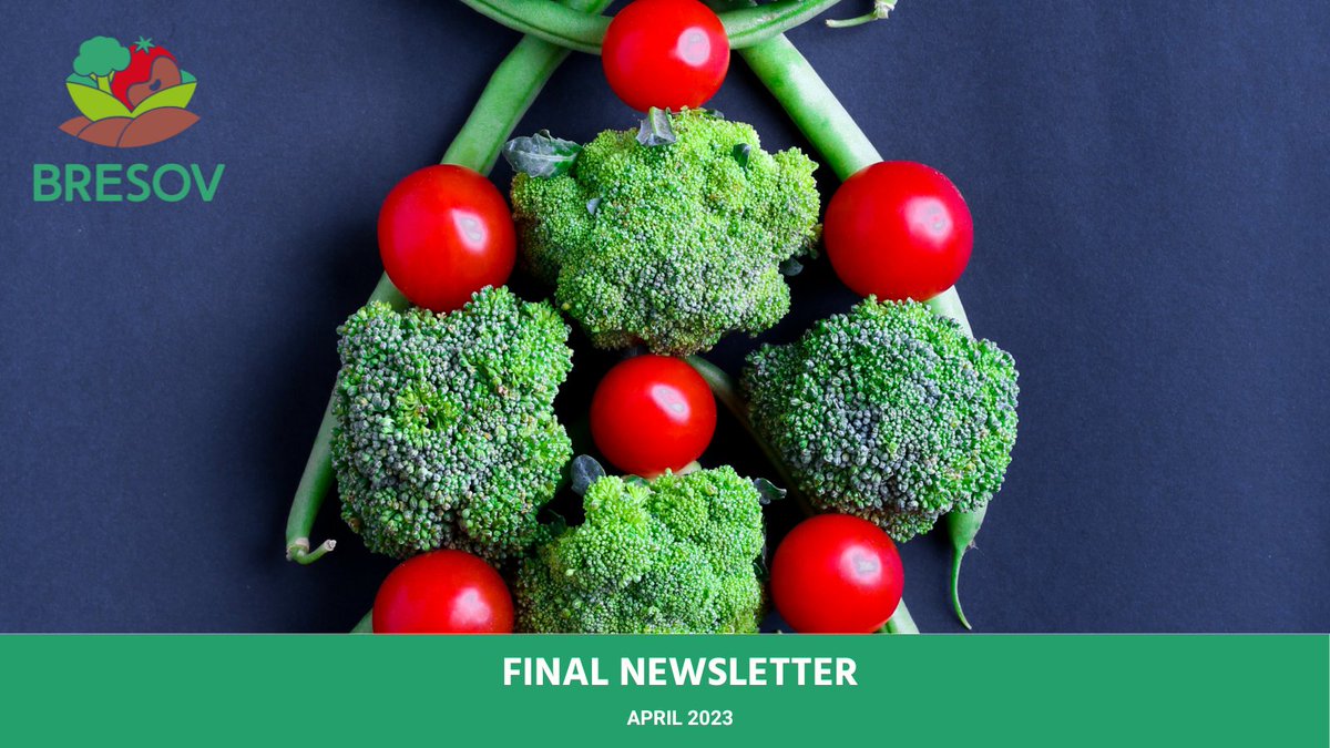 The final issue of #BresovEU Newsletter is out 🟢! It is time to bid farewell ➡️ the very last activities, final results and the farewell note from the project coordinator Prof. Branca @brancaferd (@unict_it) - take a read: bresov.eu/news-and-event… #organicagriculture