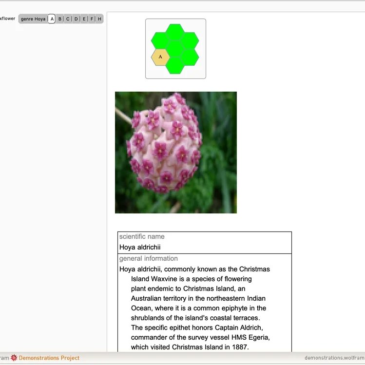 AlfonsiJessica's tweet photo. Exploring #waxflowers alias the #Hoya genre with rich #GUI toolbars #MadeWithMathematica
https://t.co/4G0ZfWpPWZ https://t.co/OUghgdAvep