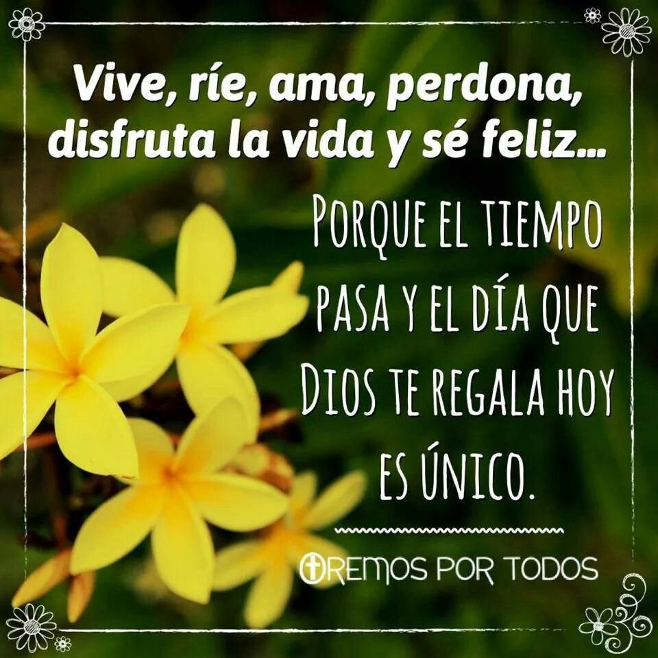 sofera_'s tweet photo. @justaLucy https://t.co/LMjUUu1OHr