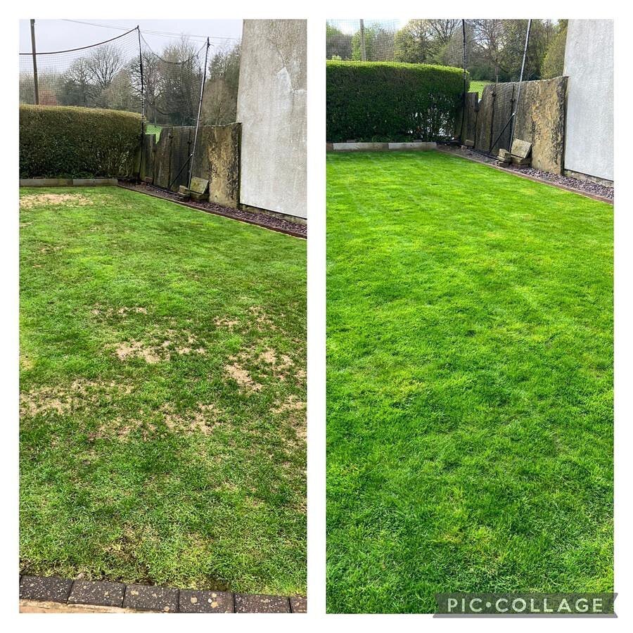 TLCBury's tweet image. Restored lawn for a customer #lawntreatments #lawnsolutions #topdressing #loveyourlawn #totallawncarebury