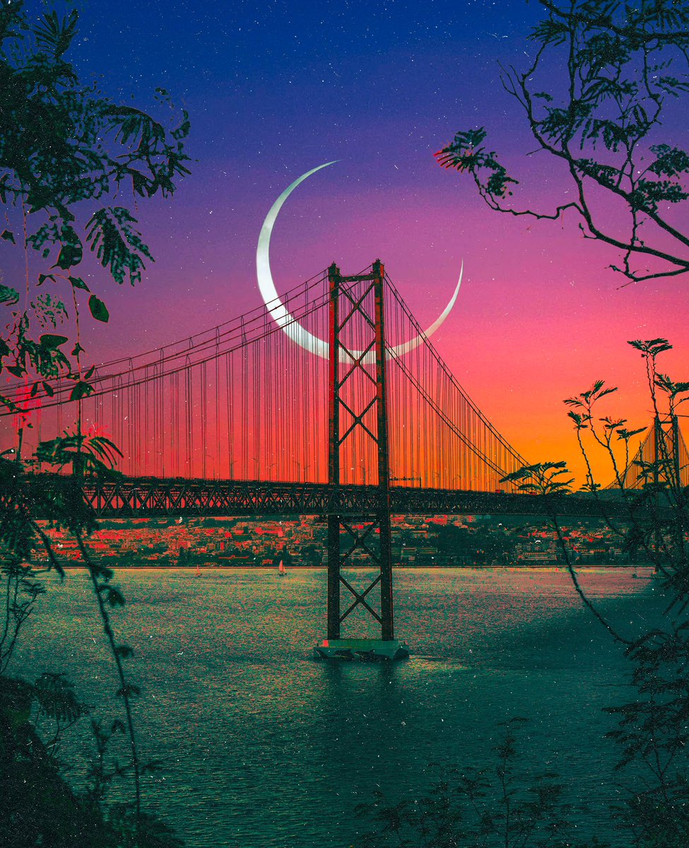 post wook ✨🌻 tweet media