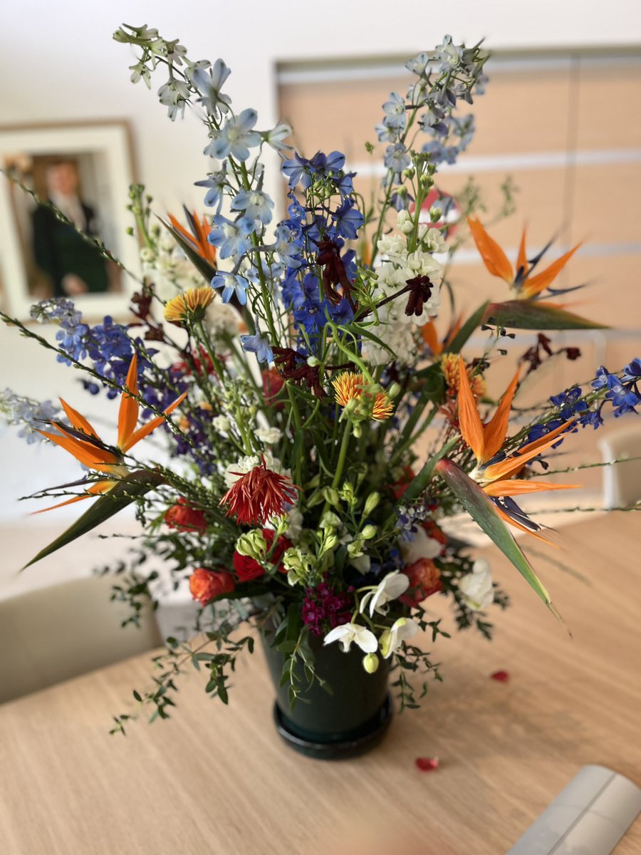 Ellen van Selm tweet media