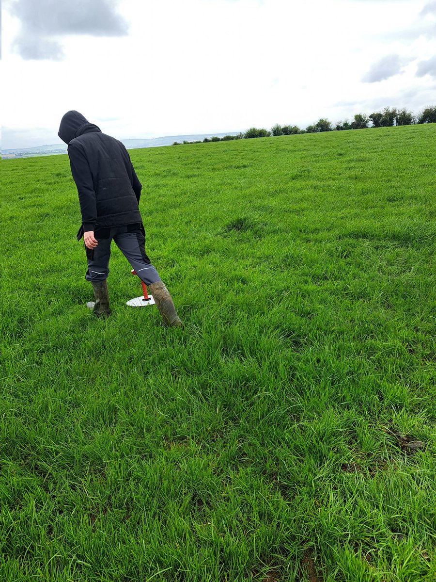 agri_measures's tweet photo. 🍀Grass measuring today in.              Conna Cork.  
Average growth rate 35 kg/DM  per HA 
 If interested    📞  087 4512497 
#farmings #youngfarmers #grassmeasuring #Cork https://t.co/b2UcpdsvQx