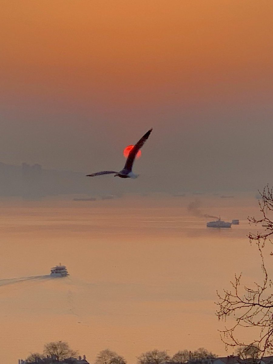 Hiç bir varlığın yaşamı kendi doğumu ile başlamaz

Hikaye bunun çok ötesinde ve eskisindedir

Her varlık yaşamın bir varoluş kodlaması, yeni bir deseni, farklı bir akış formudur

Hiç bir varlığın yaşamı da ölümü ile sona ermez. 

Olanı, sadece geçmiş etkilemez, geleceğin de olanı