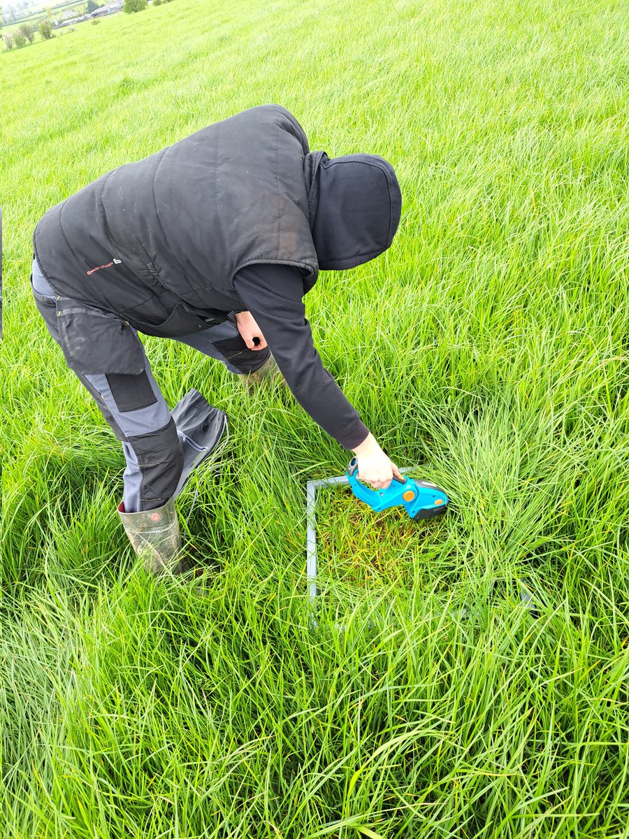 agri_measures's tweet photo. 🍀Grass measuring today in.              Conna Cork.  
Average growth rate 35 kg/DM  per HA 
 If interested    📞  087 4512497 
#farmings #youngfarmers #grassmeasuring #Cork https://t.co/b2UcpdsvQx