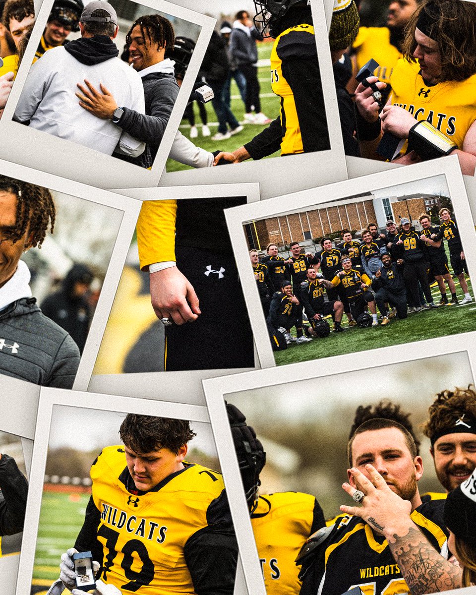 Wayne State Football tweet media