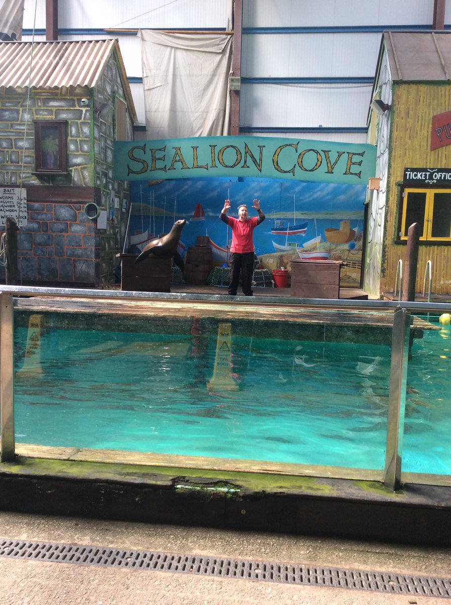 Mrs Cunliffe tweet media