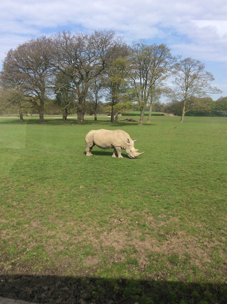 Mrs Cunliffe tweet media