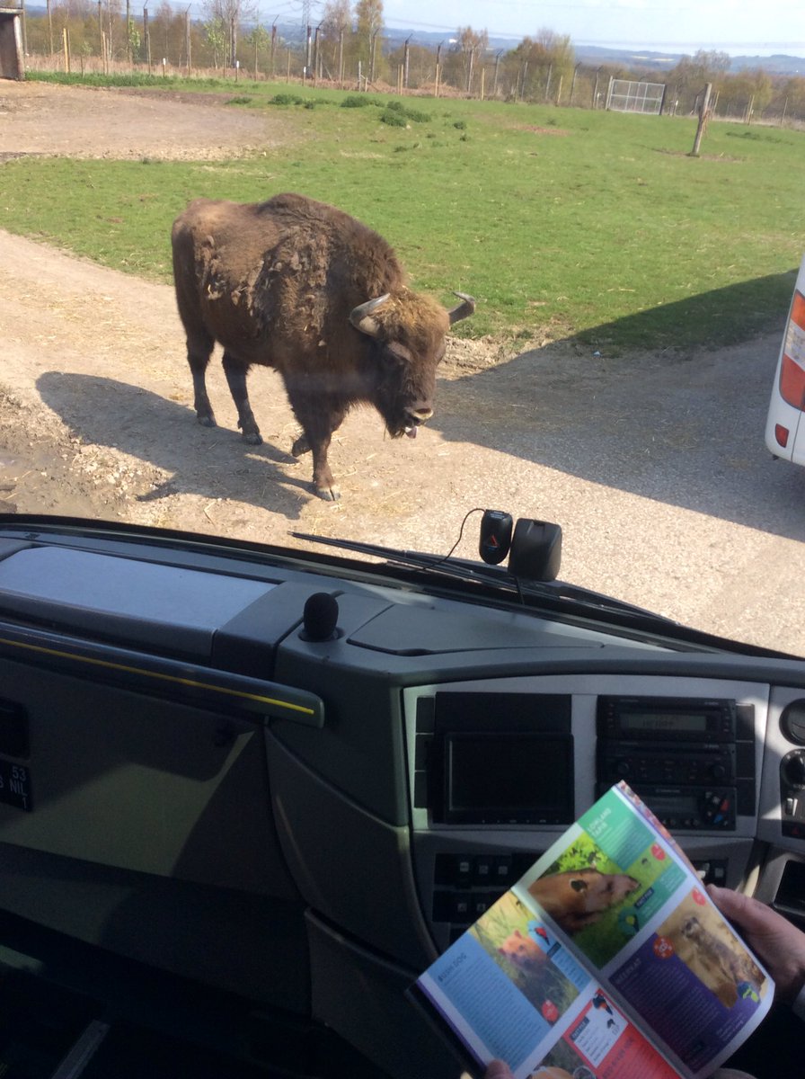 Mrs Cunliffe tweet media