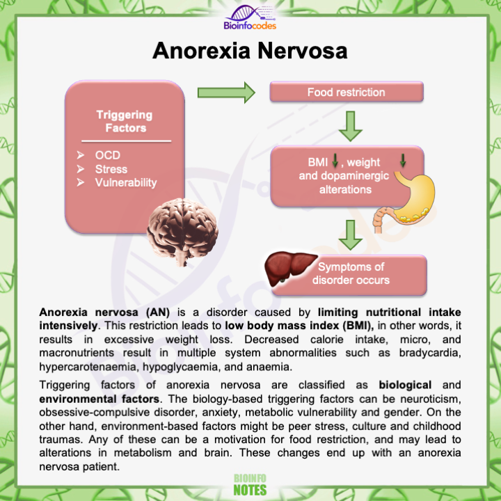 bioinfocodes's tweet photo. Anorexia nervosa is a disorder caused by limiting nutritional intake intensively. New #bioinfonotes about Anorexia Nervosa has been published !
#anorexia #nutritional #stress #bodymassindex #BMI #macronutrients #biological #environmentalfactor #anxiety #metabolism #biologynotes https://t.co/WmCJJciY2R