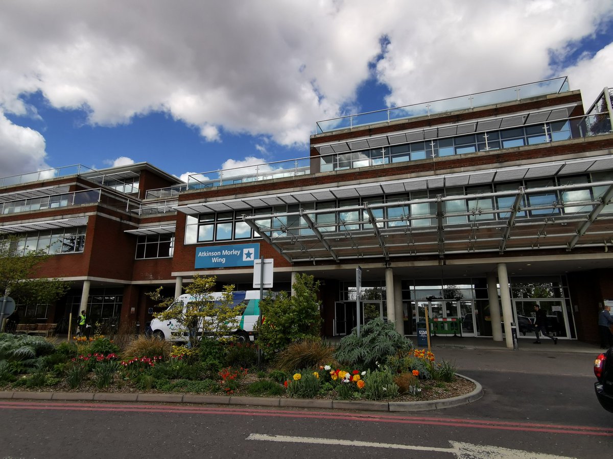 Katalin Csep RN BSC tweet media