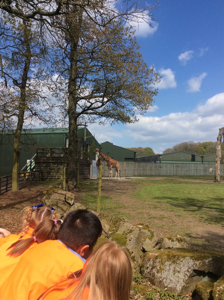 Mrs Cunliffe tweet media