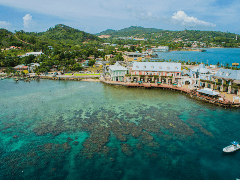 ✈️ Let Roatan's tropical allure sweep you off your feet! 🌴🌊 Our ultimate travel guide reveals the island's must-see spots, tips, and more🦜🍹 Start your Roatan adventure now: buff.ly/3MguYmt  #RoatanParadise #CaribbeanEscape
