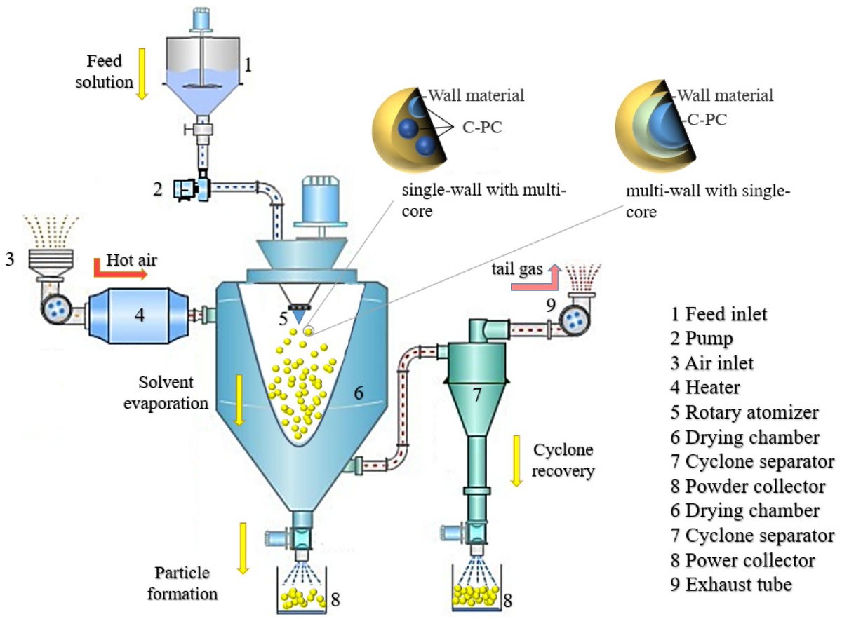 Molecules_MDPI's tweet image. 📌#phycocyanin #microencapsulation #biologicallyactivesubstance #stability #applications
New Publication “Progress of Microencapsulated Phycocyanin in Food and Pharma Industries: A Review”
By: Xue-Qing Wang, et al.
👉mdpi.com/1420-3049/27/1…
#mdpimolecules #NewPublication