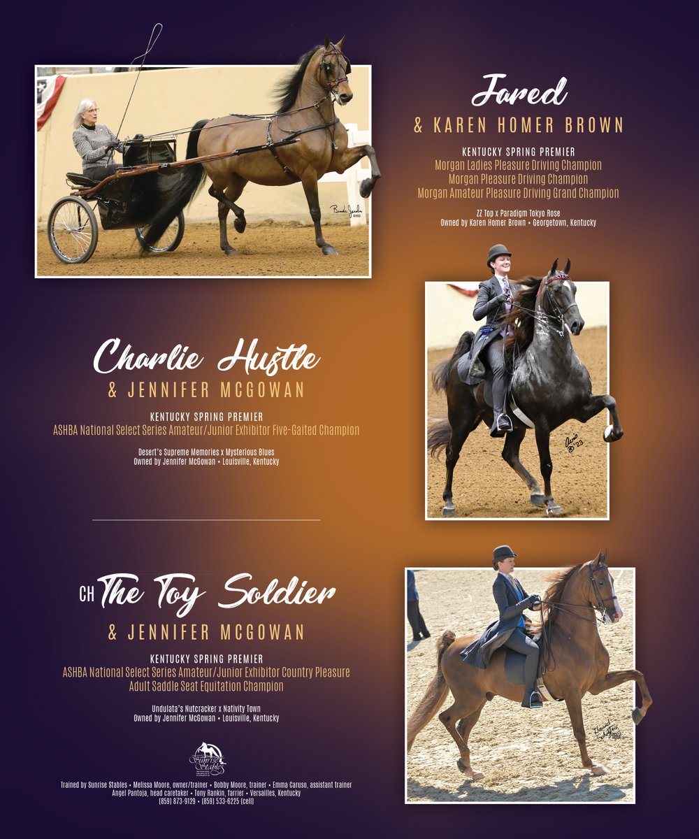 National Horseman tweet media