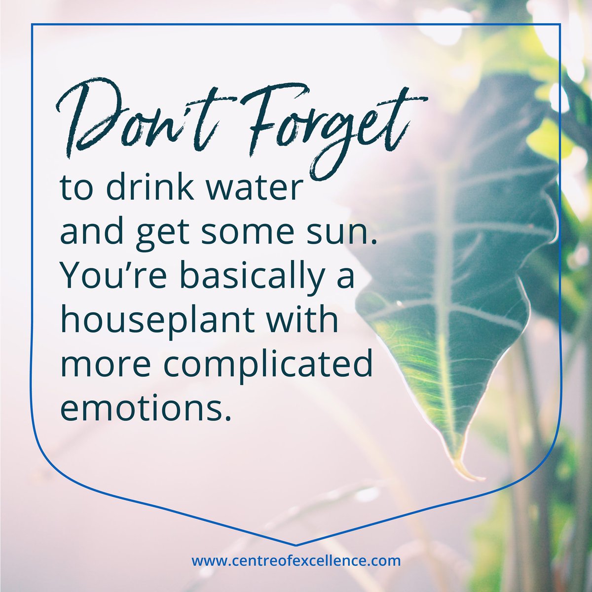 Online_Courses's tweet photo. Stay hydrated! ๐๐ชด
#selflove #bekindtoyourself #bodylove #positivequotes #positivememes #positivityrules #goodvibesonly #positivity #positiveattitude #lovinglife https://t.co/5Mpirr7uqC