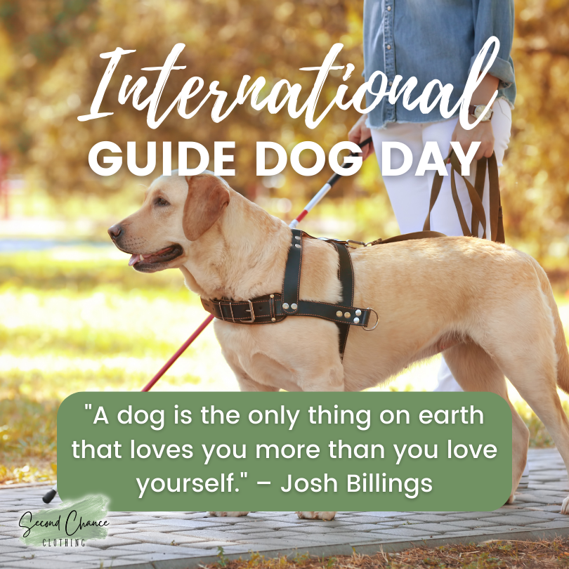 SecondChanceON's tweet photo. Happy International Guide Dog Day to all the working furbabies out there! 🐕‍🦺

https://t.co/JI5AtRmUxT

#Accessibility #Inclusion #Disability #ChangingTheNarrative #GuideDogs #CNIB https://t.co/8ENOar4imI