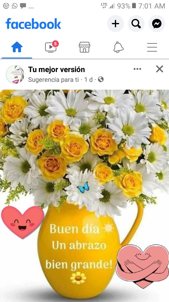 Buenos dias