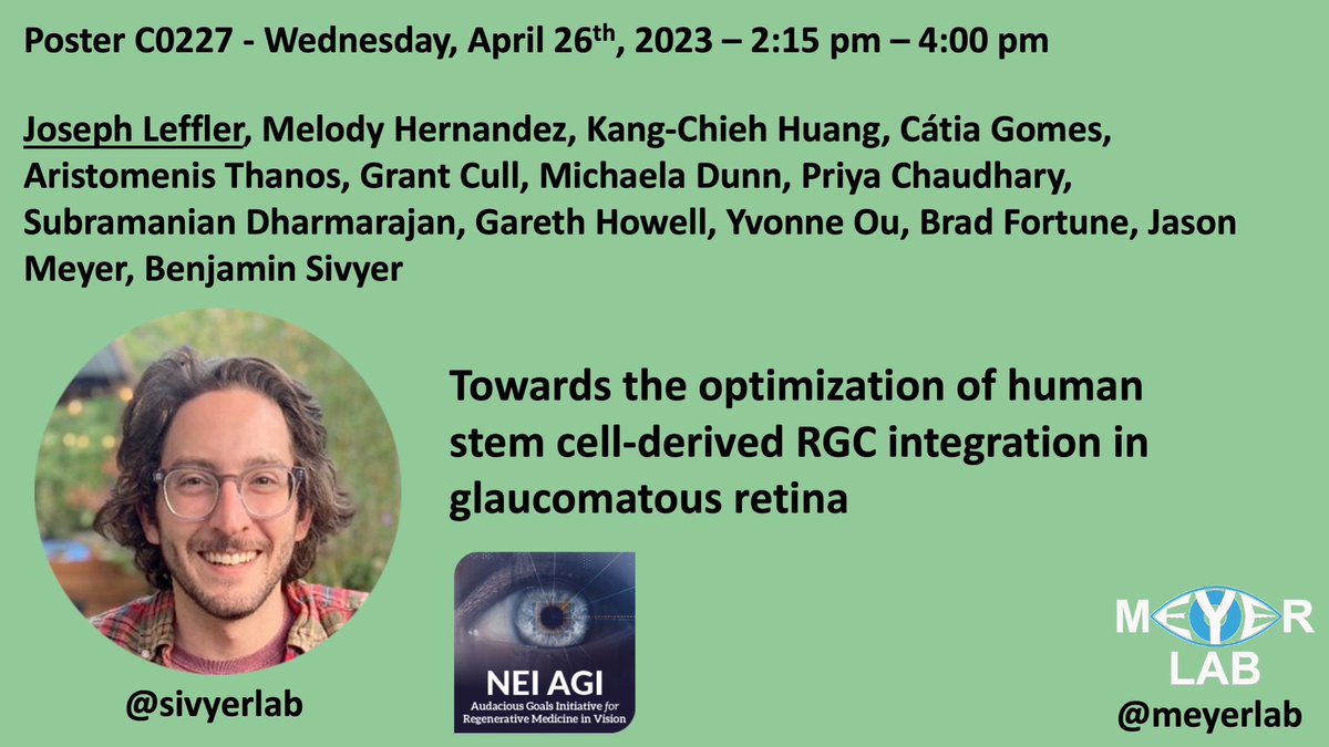 MeyerLab's tweet photo. Also check out an exciting poster in collaboration with the @sivyerlab as part of our #AudaciousGoals project exploring RGC replacement in experimental glaucoma! #ARVO2023 https://t.co/p1NBNPJ8wB
