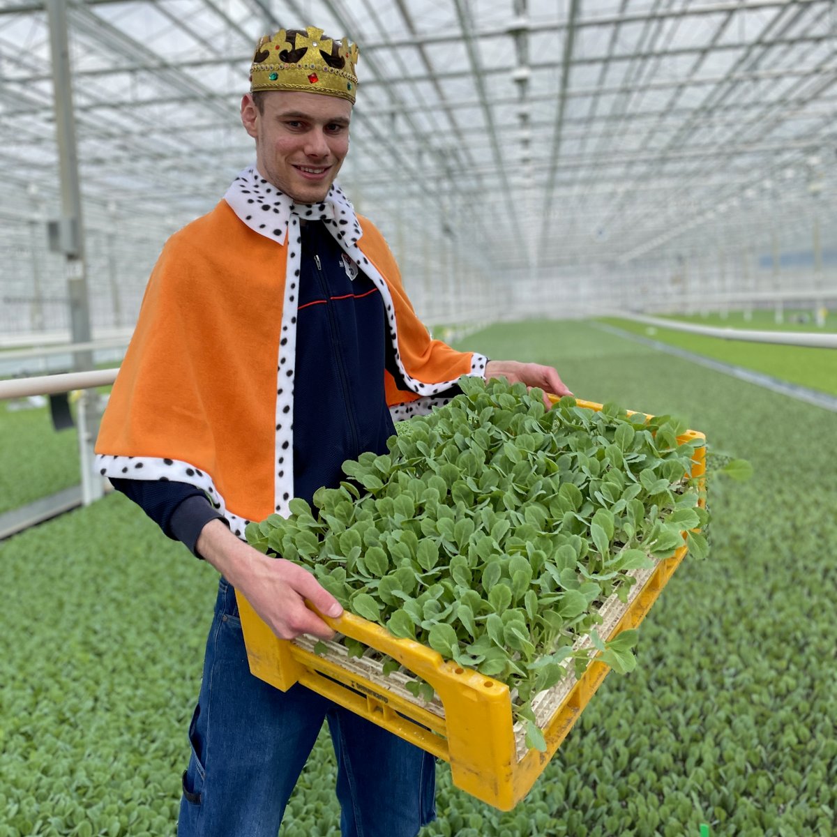 Tomorrow, the Netherlands celebrates the King's birthday. 🤴

But did you know we have many more Kings and Queens at Beekenkamp Plants? We believe that all our colleagues’, who do their best every day to provide our customers with the best young plant material, deserve a crown!👑