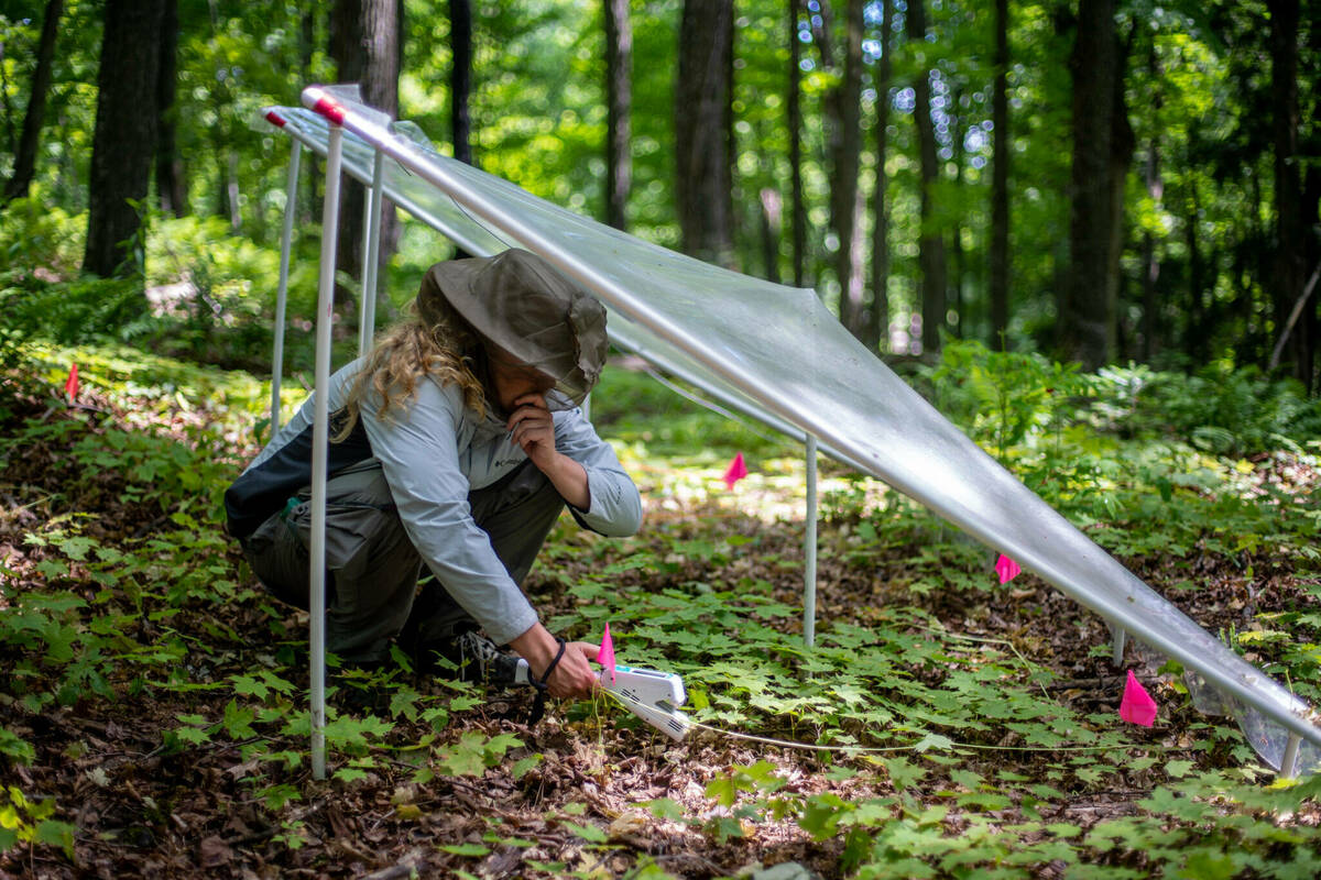 UNDERC (@ndfieldecology) on Twitter photo UNDERC provides a world-class destination for environmental research, unsurpassed undergraduate education programs, and innovative graduate student training.
➡️ Support ecological field research at <a href="/NotreDame/">University of Notre Dame</a> during Notre Dame Day: research.nd.edu/news-and-event… UNDERC provides a world-class destination for environmental research, unsurpassed undergraduate education programs, and innovative graduate student training.
➡️ Support ecological field research at <a href="/NotreDame/">University of Notre Dame</a> during Notre Dame Day: research.nd.edu/news-and-event…