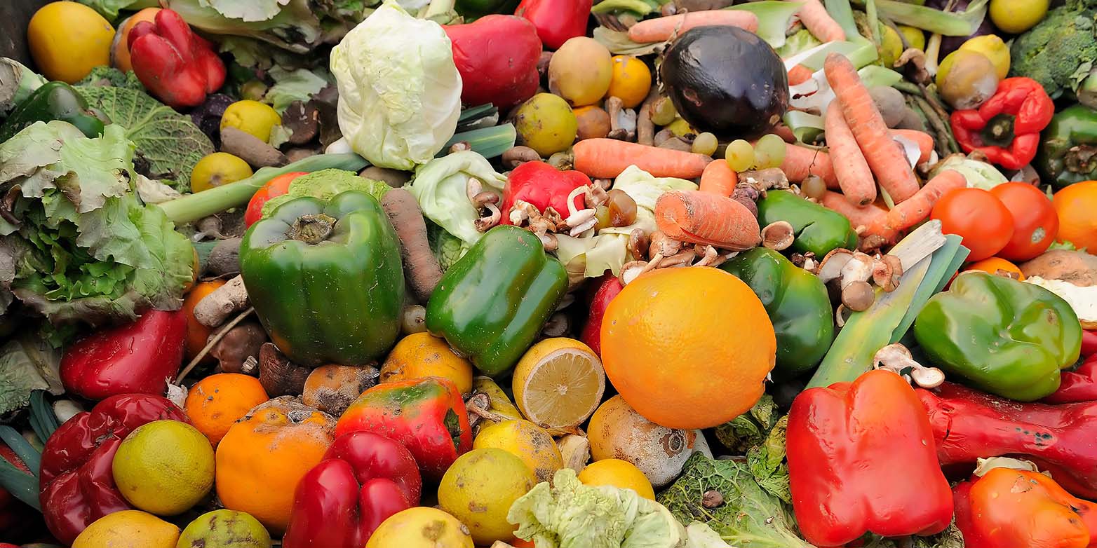 Испорченные продукты питания