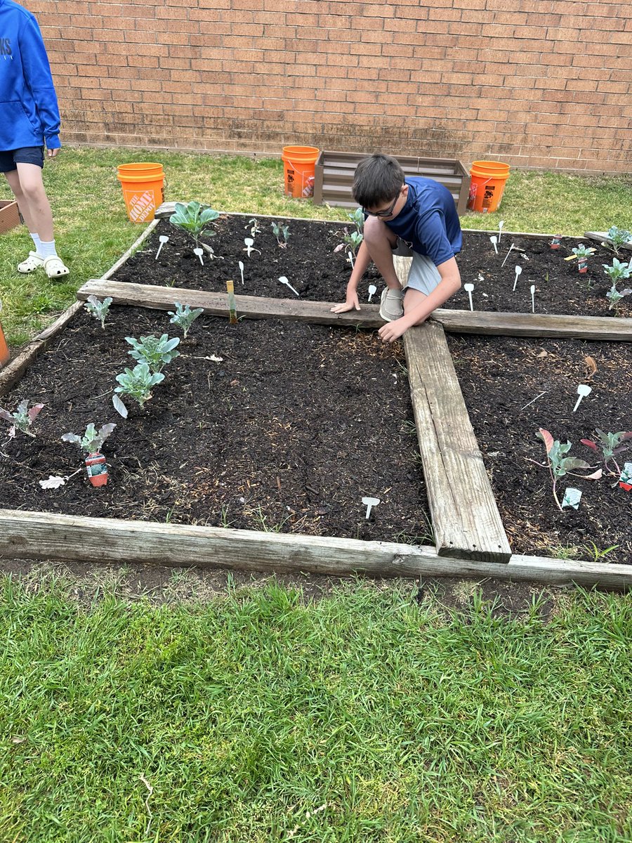 The 5th grade garden is seeing blooms!