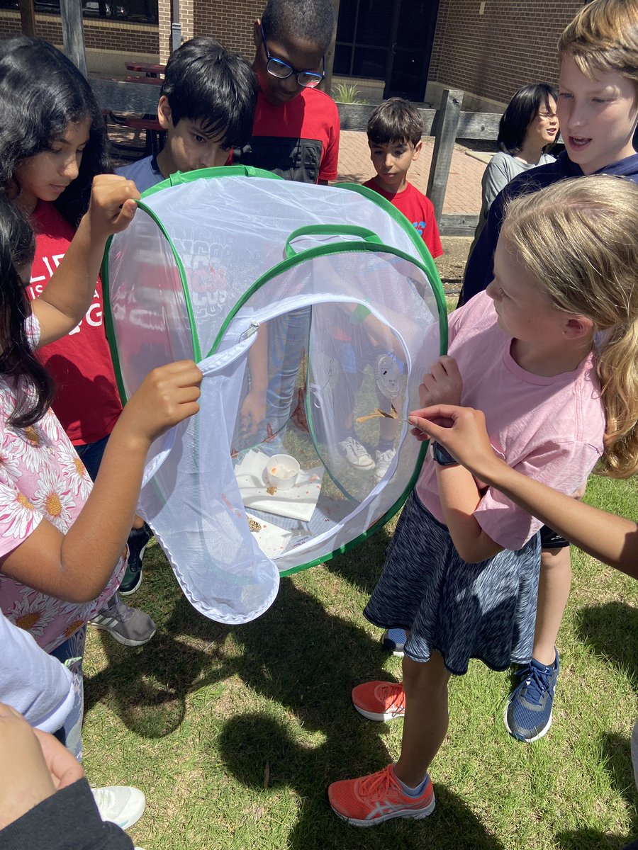 Claire Crouch tweet media