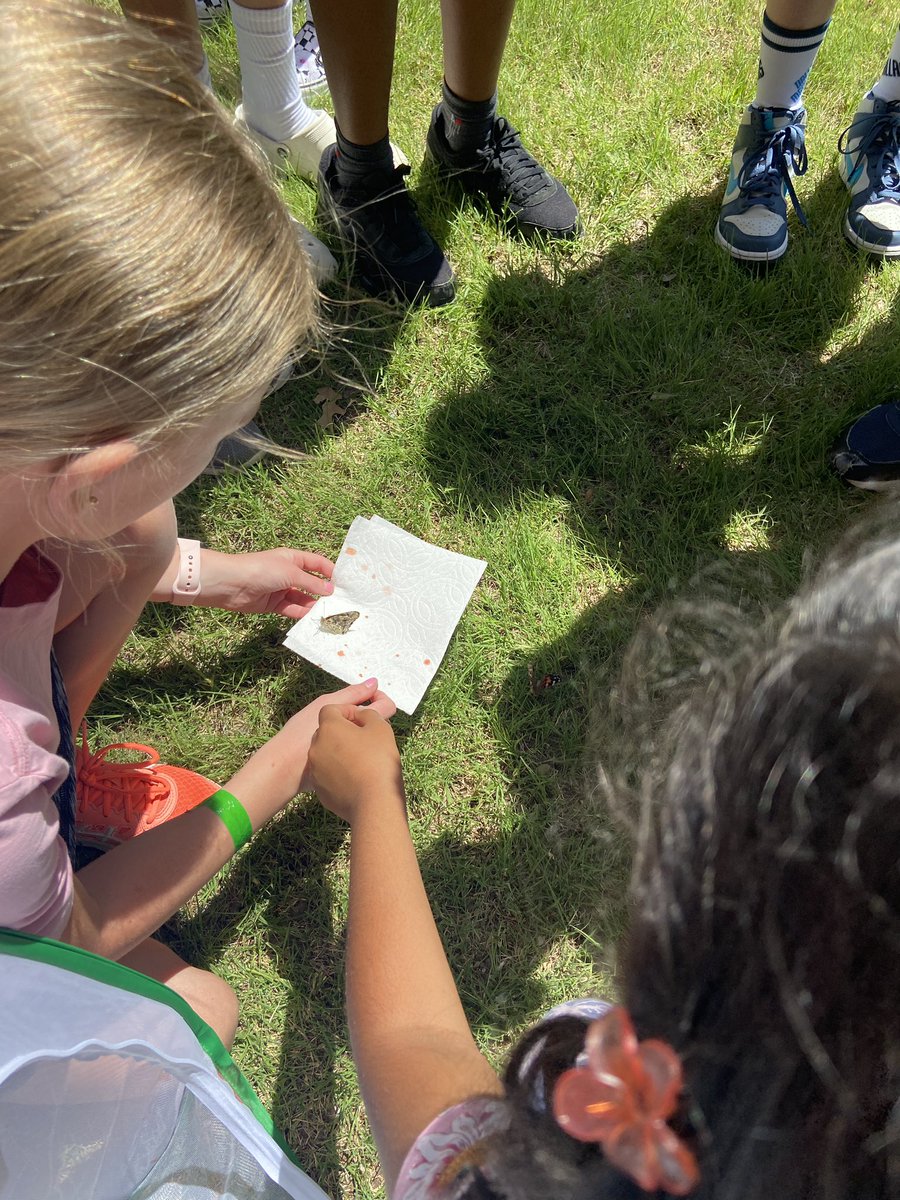 Claire Crouch tweet media