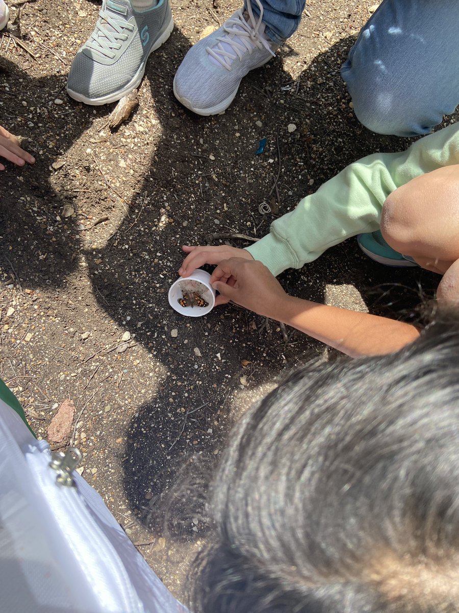 Claire Crouch tweet media