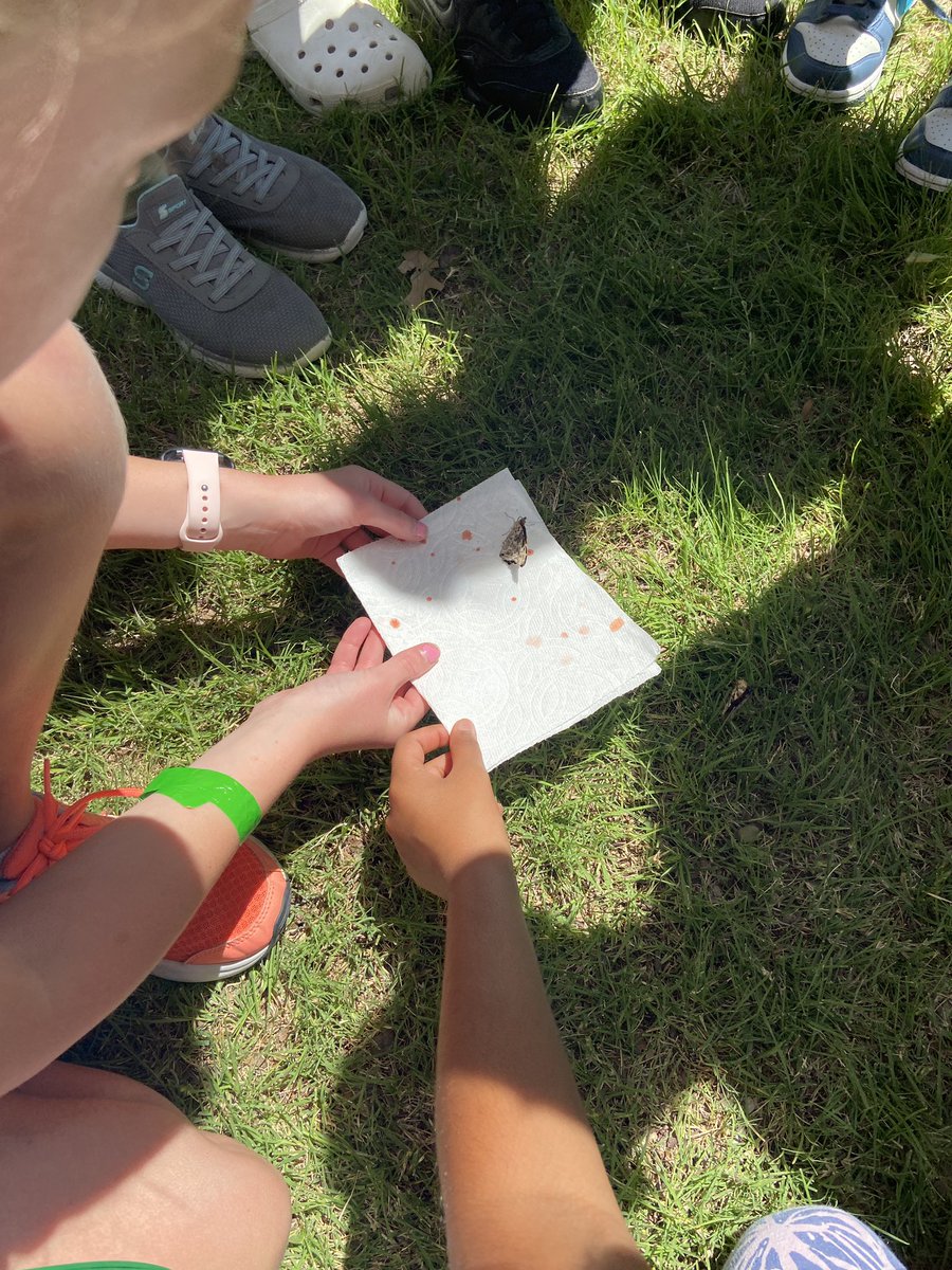 Claire Crouch tweet media