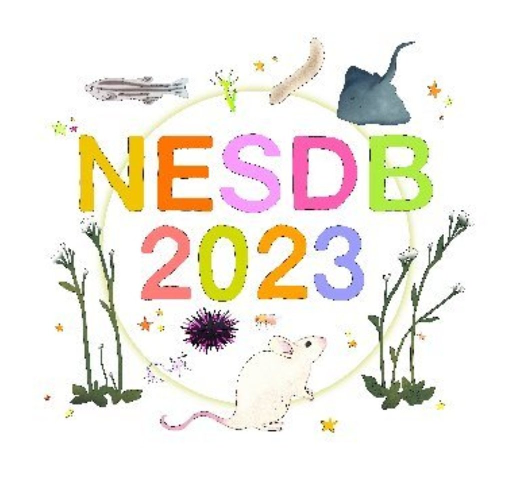 ArjunaRajakumar's tweet photo. Anyone else going to #NESDB this weekend? Excited for lots of #development and #evodevo and to talk about regulation of sub/infertility in #ants 🐜🐜🐜 https://t.co/CrAZJ8pp5k