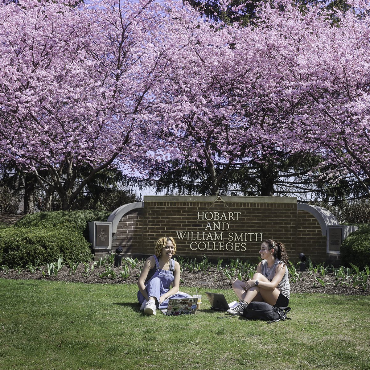 HWS Colleges (@hwscolleges) on Twitter photo For the 8th year in a row, the <a href="/ThePrincetonRev/">The Princeton Review</a> has named HWS a “Best Value College!” The accolade recognizes HWS for academic excellence, affordability and outcomes of our grads. For the 8th year in a row, the <a href="/ThePrincetonRev/">The Princeton Review</a> has named HWS a “Best Value College!” The accolade recognizes HWS for academic excellence, affordability and outcomes of our grads.