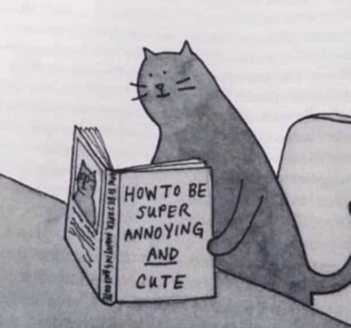 The only book I ever finished apparently