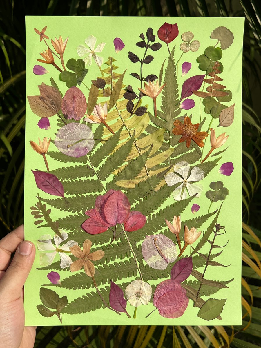 ✦ yajnaseni ✦ tweet media