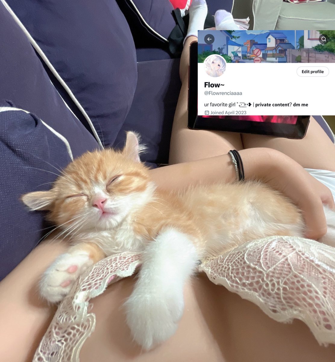 sugaryfIow's tweet photo. rt if ur dms are a safe space for me to drop nudes or just pics w my new cattt <33 https://t.co/6999pwoxzt