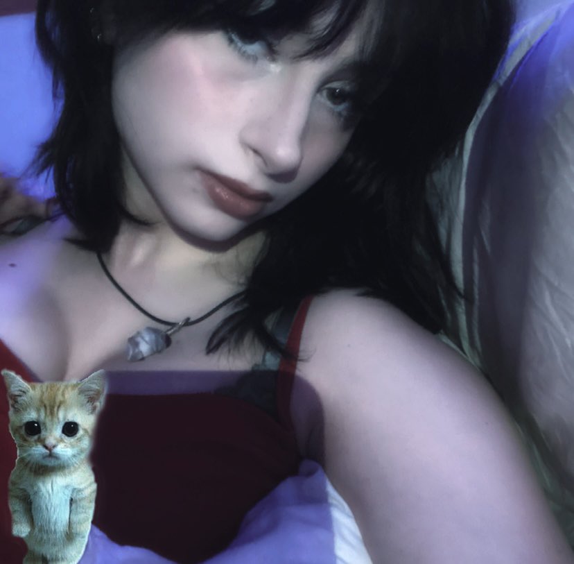 jujubless_'s tweet photo. i like the cat https://t.co/chlXQGGIFc