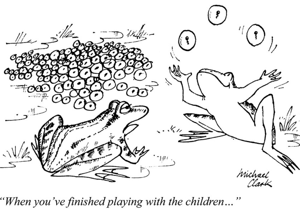 'When you've finished playing with the children' Order your prints: punch.co.uk #punchmagazine #punchcartoons #illustration #drawing #art #cartoonart #publishing #britishhumour #1960s #fleetstreet #MichaelClark #frogs #frogspawn #parenting #juggling #sixties