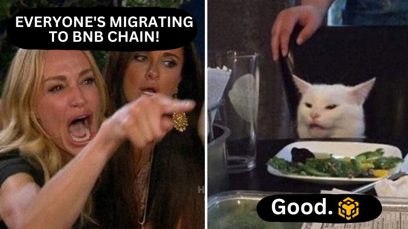 BNB Chain (@bnbchain) on Twitter photo 