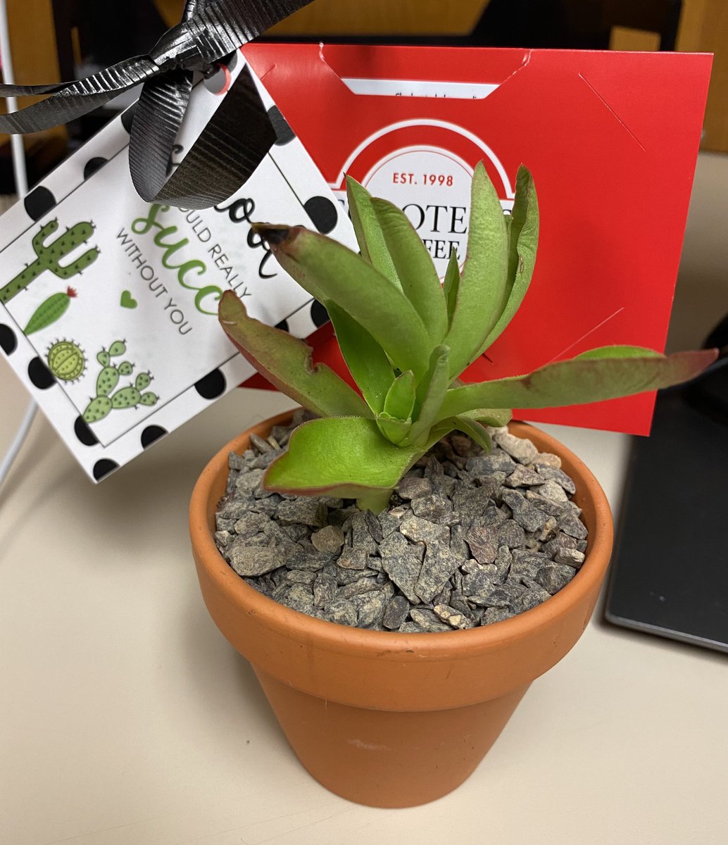 MrsJsLibrary's tweet photo. What a nice surprise waiting for me this morning! Thank you, @lsehs #AdministrativeProfessionalsDay https://t.co/4AqSQ05AI0