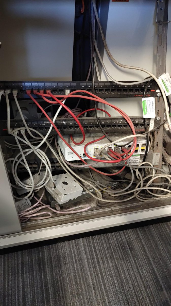 𝔅͛𝔯͛𝔦͛𝔞͛𝔫͛ ͛𝔚͛𝔥͛𝔢͛𝔩͛𝔱͛𝔬͛𝔫͛ tweet media