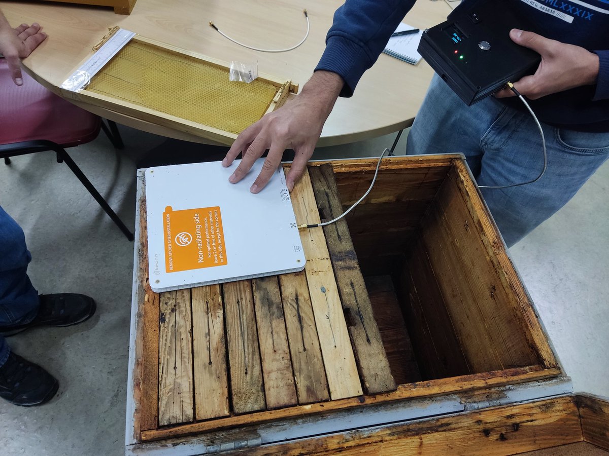 innodeapi's tweet photo. Con el inconveniente de estos días tan calurosos, continúan desarrollándose  los ensayos en laboratorio y campo, en la recta final del proyecto 🐝👑
#innovation #agritech #Agricultura https://t.co/2QRsvMhb2T