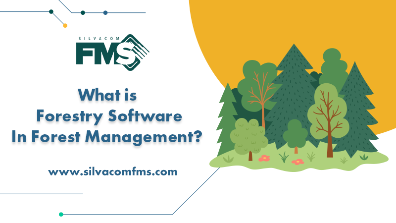 Silvacom's tweet photo. Ready to take your #ForestManagement to the next level? Check out our blog to learn how #ForestrySoftware can help you save money, lower risks, and make more informed decisions. π² https://t.co/sIFY2Bdnpc https://t.co/lIAXTTGlri