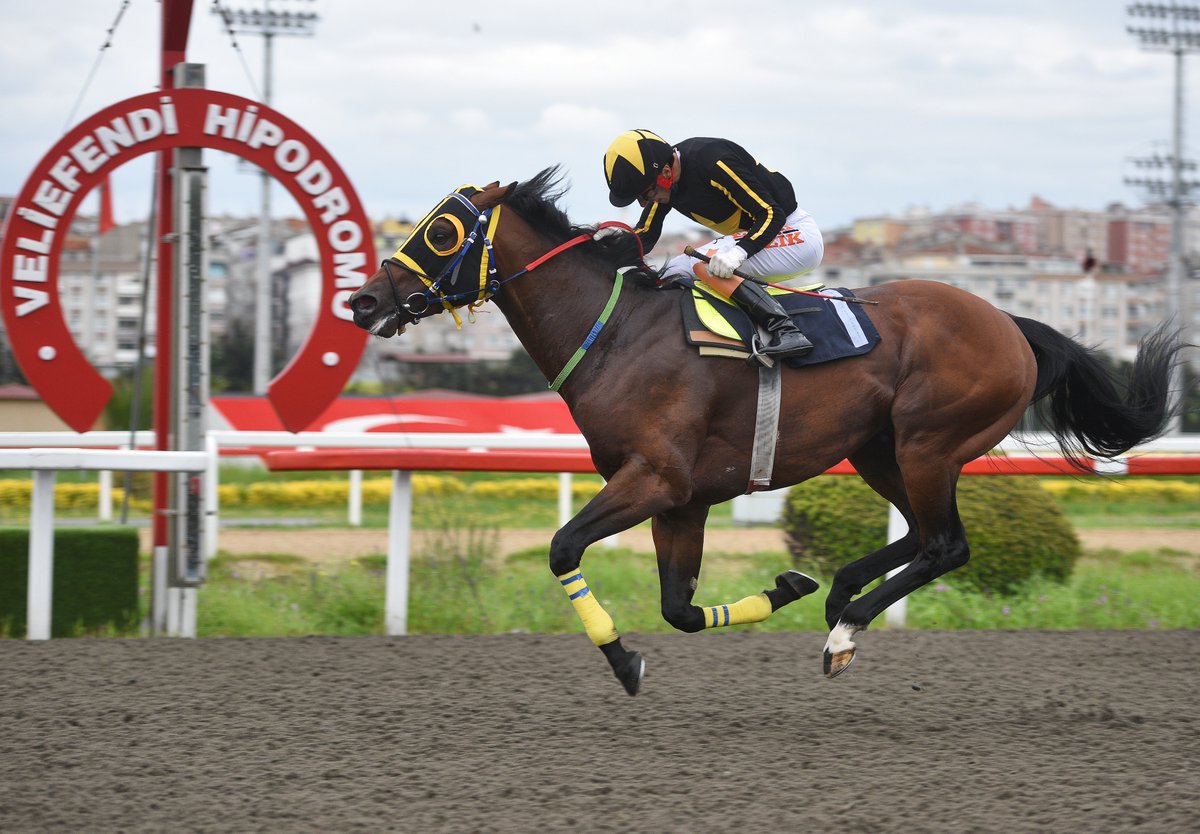 Malayan Racing Association Koşusu'nu Eliminatör kazandı

tjk.org/TR/YarisSever/…