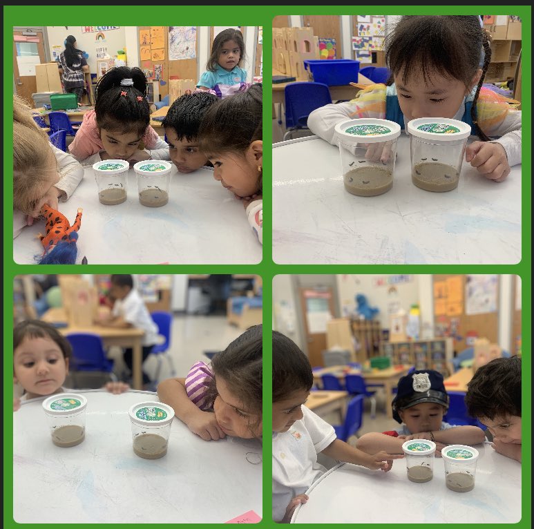 Mrs. Tillotson tweet media