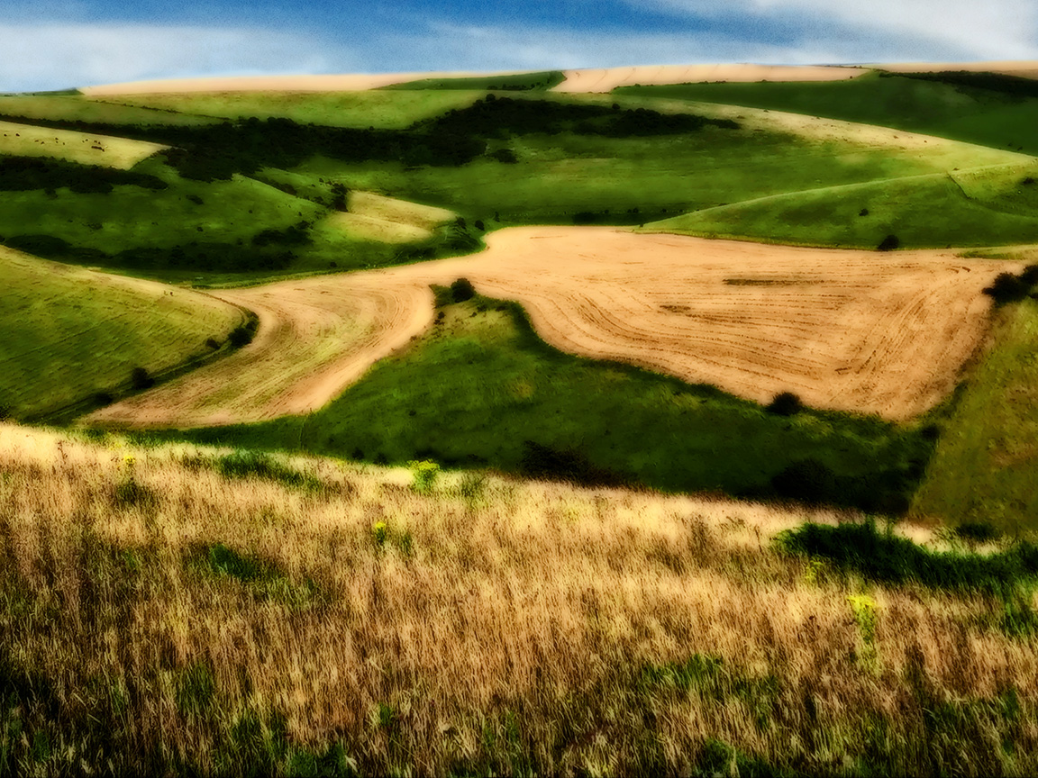 A View of Falmer Bottom, 2020, Downland Impressions from the Downland Portfolio. 'It’s a landscape that has been marked for centuries by people for resource.’
#photographer #nature #art #landscape #photo #picture #fotografia #photographyart #photographic #landscapephotography