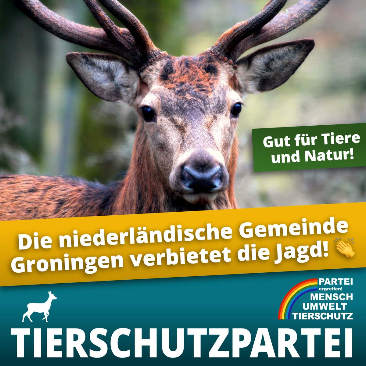 Tierschutzparte's tweet photo. Tolle News: Die niederländische Gemeinde #Groningen verbietet jegliche Form der #Jagd! Wann folgt Deutschland?

Tiere fühlen Angst, Schmerz, Freude – genau wie wir.
Auch aus Naturschutzgründen ist die Jagd überhaupt nicht notwendig.

Mehr Infos: https://t.co/cG6sBdyiVw

#vegan https://t.co/z64Uf9YTaK
