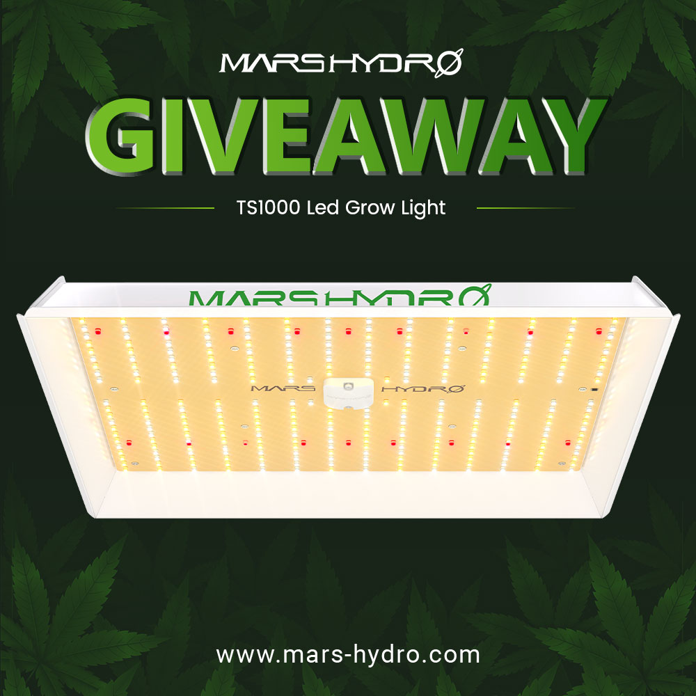 ColdAzzIsis89's tweet photo. 💡LIGHT Giveaway 💡
sponsored by @MarsHydroLight 

1 winner will win a #TS1000 grow light
✨️RULES✨️
1- Must be following @MarsHydroLight , @Henry117_ and myself!!
2- Like, retweet an tag a friend!!

✨️3- Guess a number between 1-1000!!!✨️

Giveaway ends 4/30  Good Luck! https://t.co/09xzlucKbX